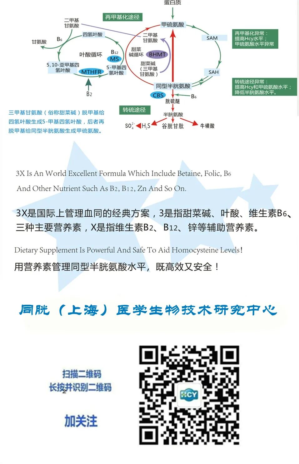 妊高怎么测探讨妊娠高血压综合征患者血浆总同型半胱氨酸水平检测的临床意义_https://www.jmylbn.com_新闻资讯_第8张