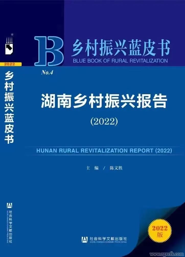 湖南乡村振兴报告|郴州市2022年乡村振兴研究报告(图6)