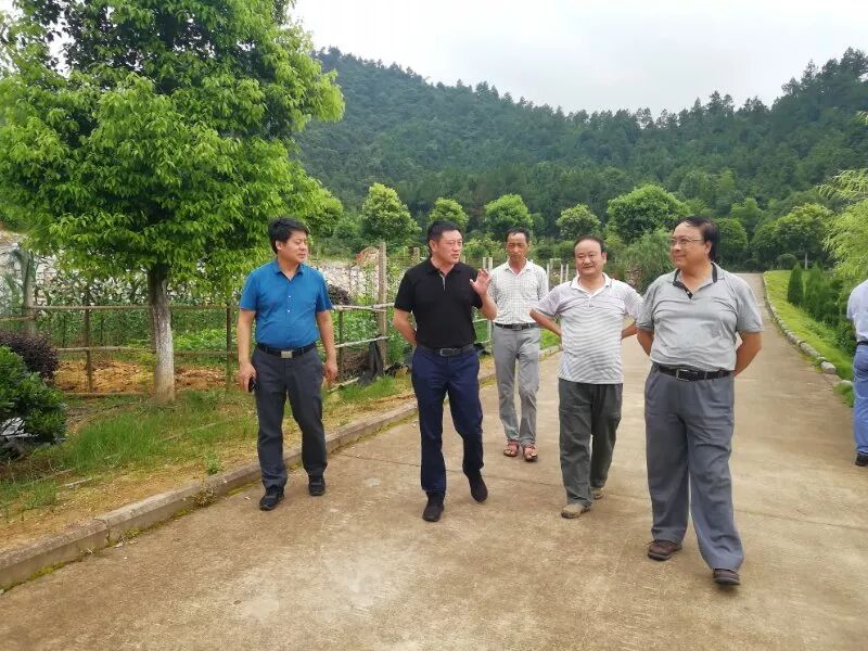 近日,县委副书记,县长陈克龙到文峰镇井头乡约山庄调研指导乡村旅游