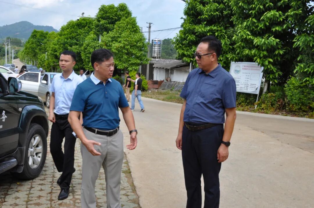 何世恰到龙圩区龙圩镇新地镇调研项目建设乡村振兴工作