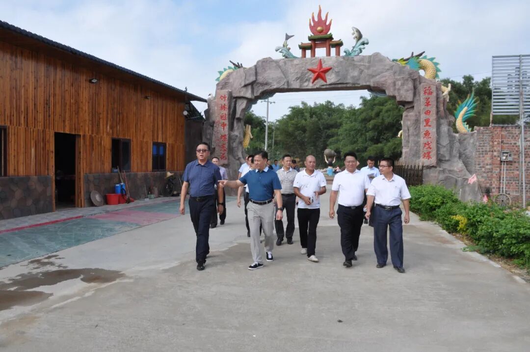 新地镇调研项目建设,乡村振兴工作 - 今日龙圩 - 广西梧州龙圩区人民