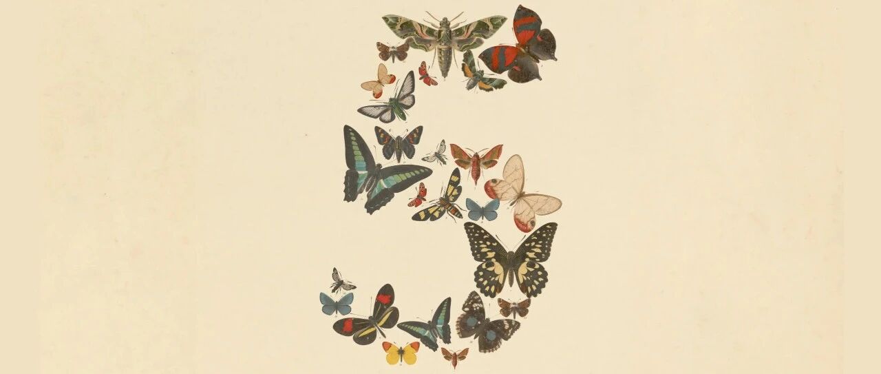 cover_image