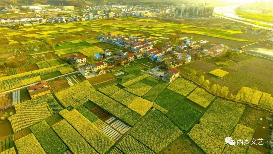 汉中油菜花海线路攻略！看完直呼：世界那么大，我要去看看！