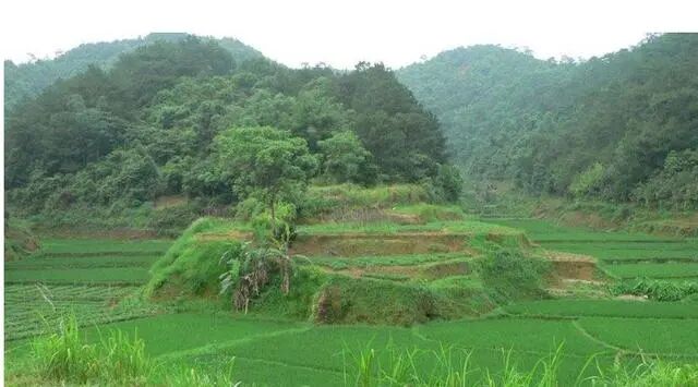 只要知道这三点，你也可以选到风水宝地！