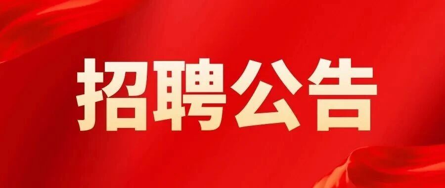 洛阳186实习