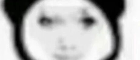 Example Image