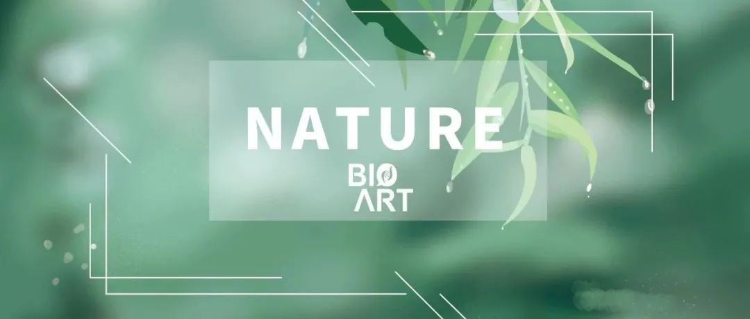 专家点评Nature | 董浩浩/唐晓迪/张兴/周如鸿合作揭示革兰氏阴性菌外膜桶蛋白的组装及完成机制