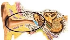 听力AC为什么0【健康新视界】科学爱耳，保护听力——带你了解鼓室探查及鼓室成型的中耳手术_https://www.jmylbn.com_新闻资讯_第3张