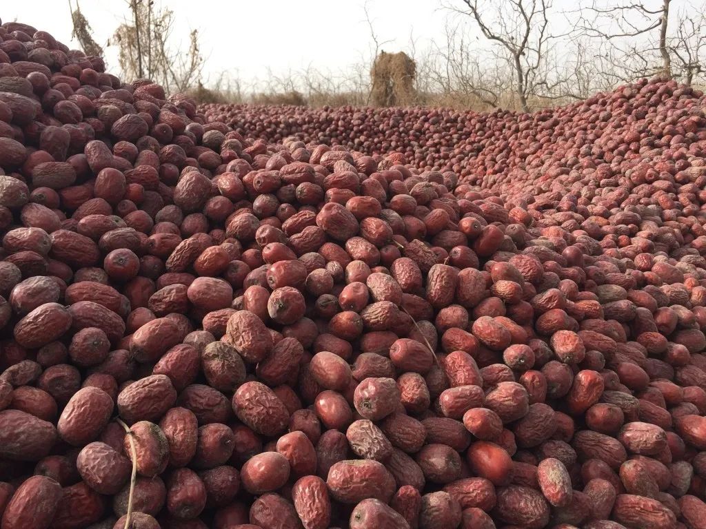 新疆阿克苏灰枣欲销无门 自然吊干 肉厚核小 诚邀您的支持转发 让好枣走出大西北 有点儿田 二十次幂