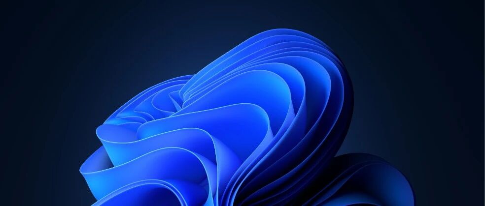 “不用 Windows 11 会更好”，FSF 霸气开“怼”！