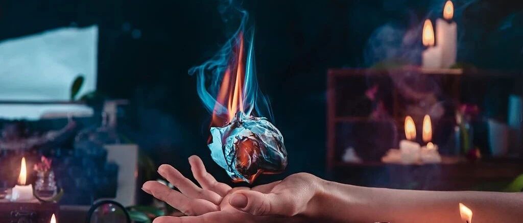 技术人专访：GrapeCity，技术老炮开启低代码新征程