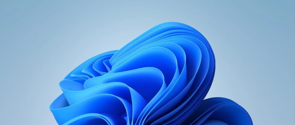 惊现 Windows 11 “隐藏版”！网友：微软为何要让学生受这种苦？