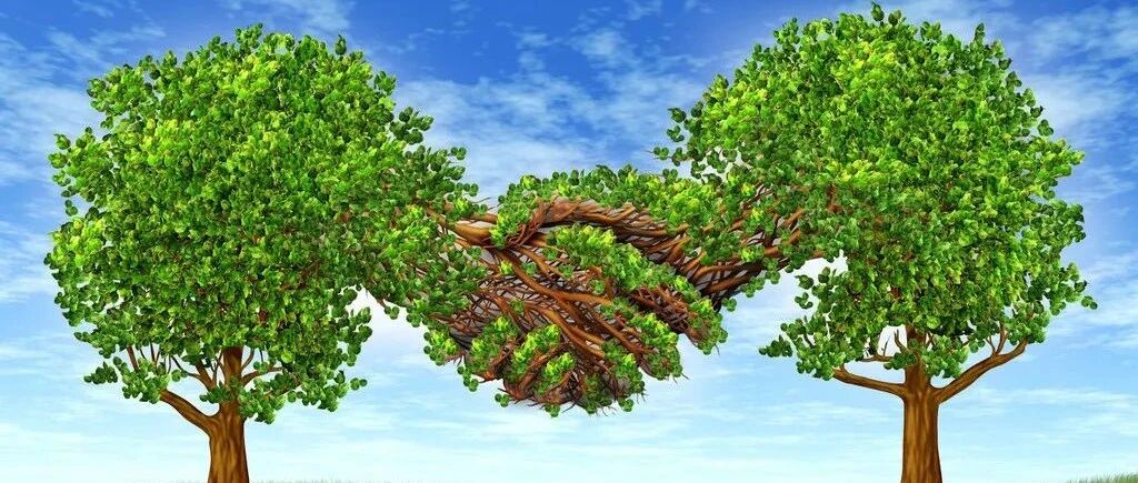 微软：数据中心用水量归0，苹果：+1，环保内卷开始了！