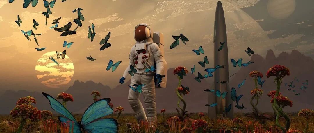 乌克兰程序员最后的倔强：危机来临时，仅能通过谷歌翻译和家人交流？