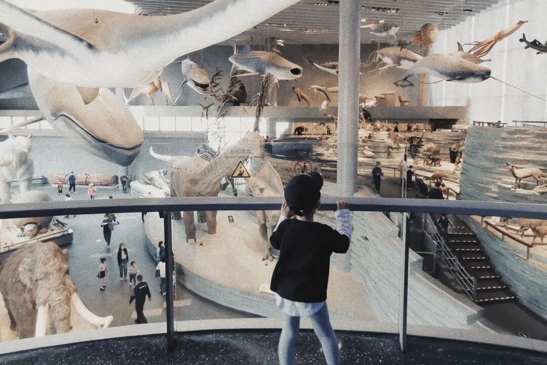 军事博物馆的票价_军事博物馆收钱吗_军事博物馆门票多少钱