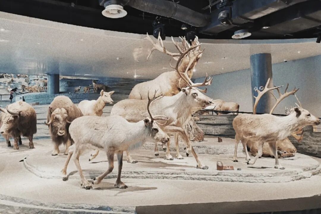 军事博物馆门票多少钱_军事博物馆收钱吗_军事博物馆的票价