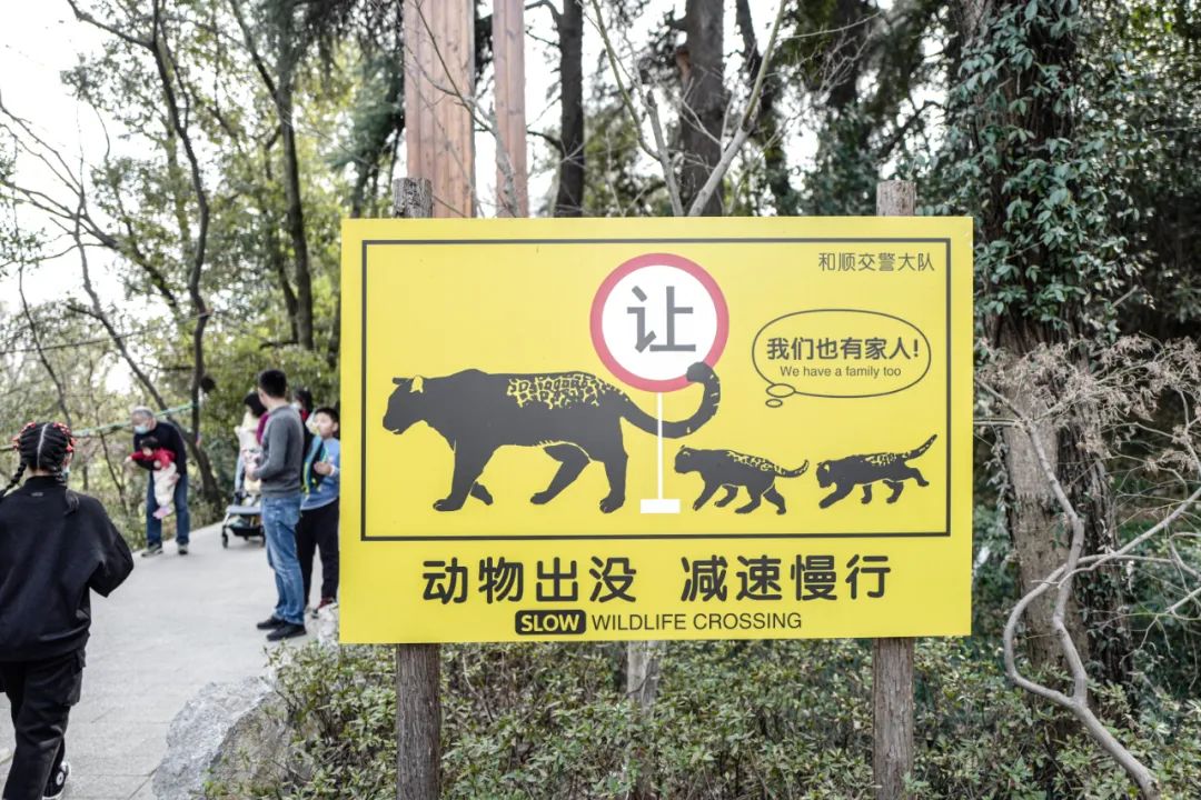 看到這麼多人報復紅山動物園我就放心了 - 嬉遊 - 瓦斯閱讀