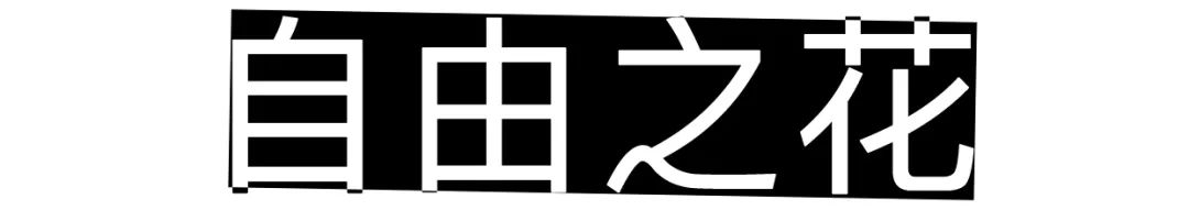 什麼是自由？當想當的人，做想做的事 家居 第9張