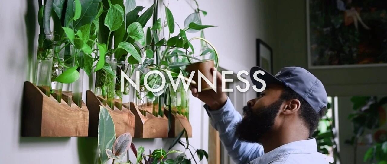 如何把森林搬到自己家里