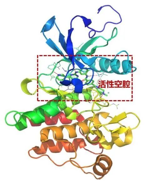 生物医药领域发文难？(CADD、ROSETTA、多组学）一区SCI垫脚石已备好！的图20