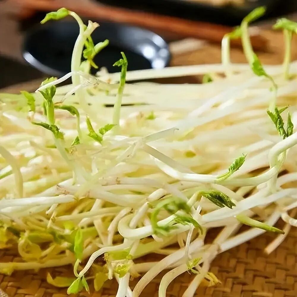 医用夹板怎么软化农民的智慧是无穷的！“夹板芹菜”又白又嫩，您吃过吗？_https://www.jmylbn.com_新闻资讯_第2张