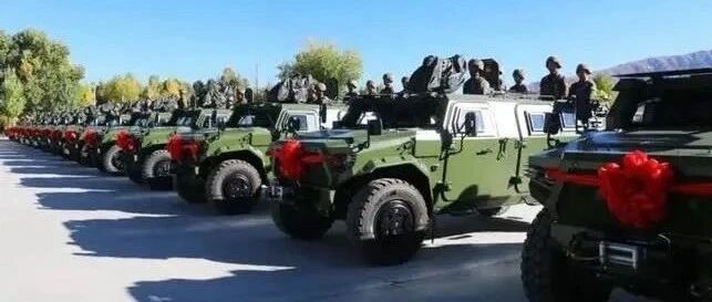 演兵场年终盘点：2020中国武器英雄榜——陆军篇