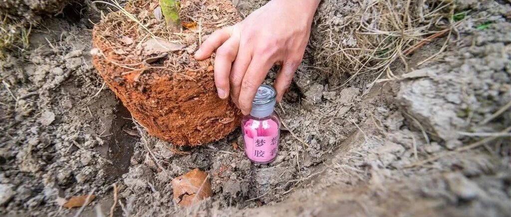 植树节，武警官兵把“梦想胶囊”和树苗一起种下……