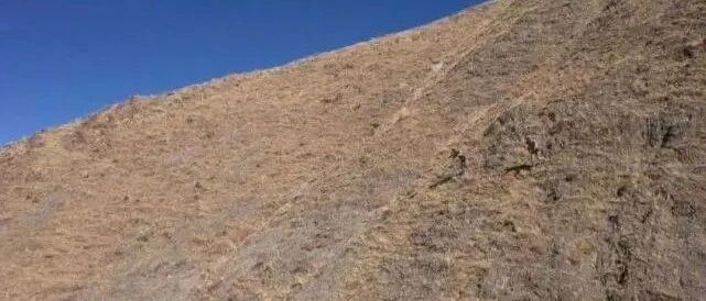 用肉眼难辨特种兵踪迹！解放军高原特战旅换装星空迷彩