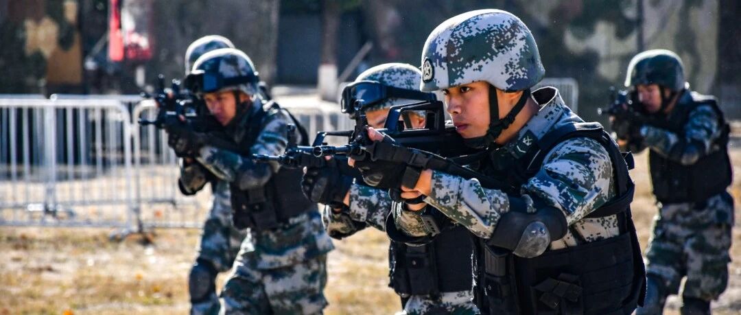 虎虎生威，战力爆表丨细数我军以“虎”命名的英雄部队