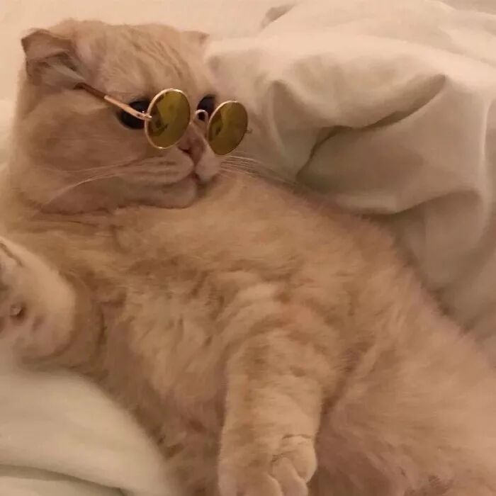 微信头像 - 风情浪子的主页