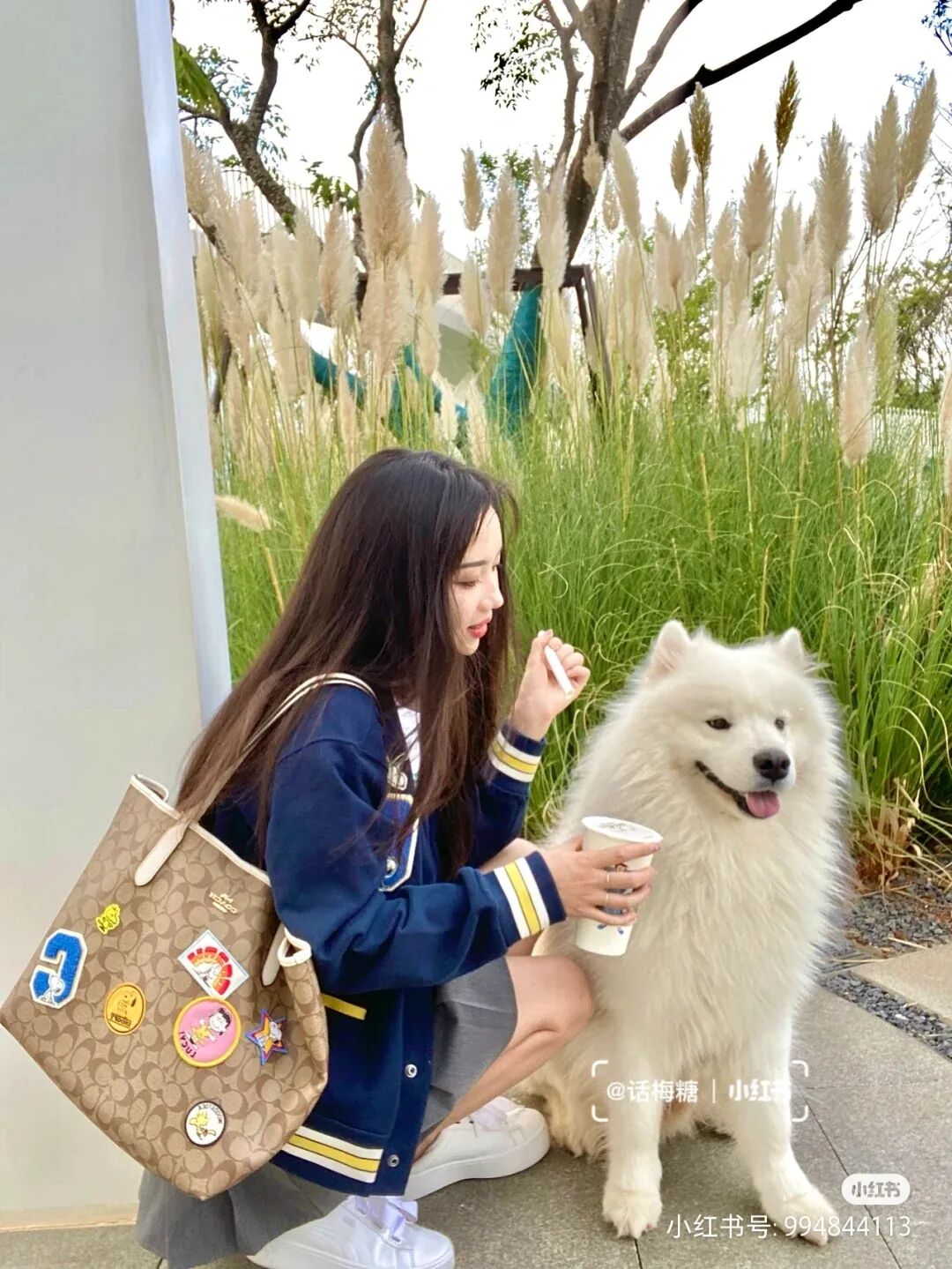 Coach X Peanuts史努比联名上新！省$278入超可爱斜挎包 - 4