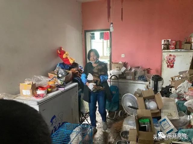 独居老人举债收留29条流浪狗遭投诉 民警的处置