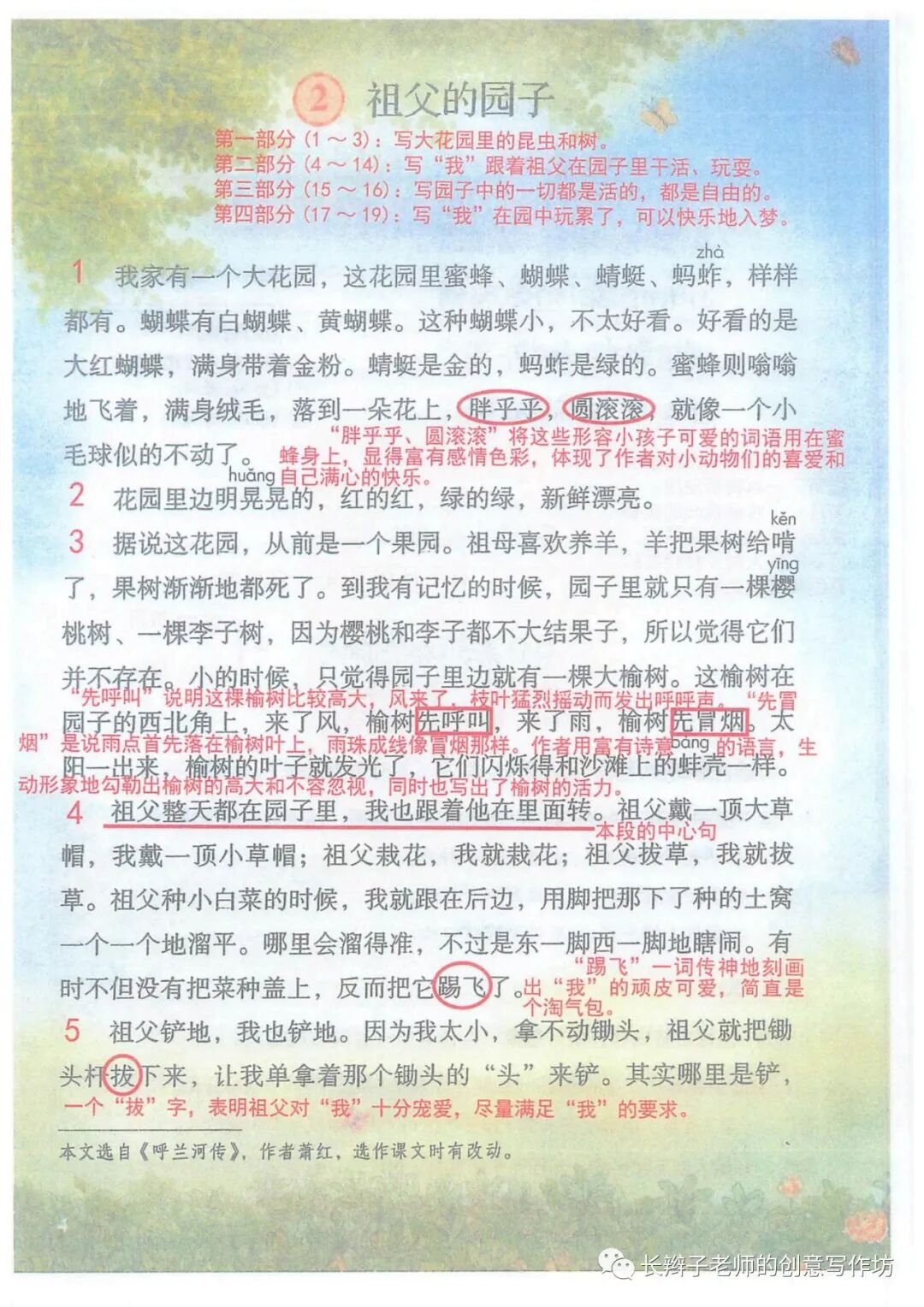 小学语文.五年级.下册:全册课文批注