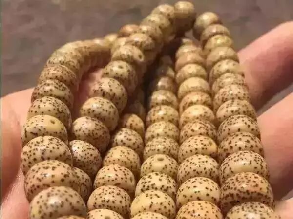 星月菩提盘玩变红了，大神告诉你盘红秘诀！