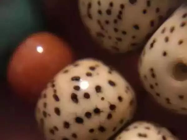 星月菩提盘玩变红了，大神告诉你盘红秘诀！