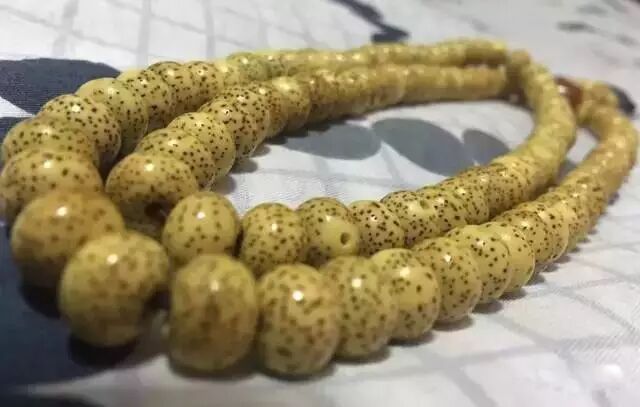 星月菩提盘玩变红了，大神告诉你盘红秘诀！