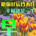 2023最新早上好表情包，深深祝福，平安吉祥！