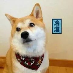 拒签退款？交了签证费就应该通过？这些事情是你办签证应该知道的！ - 1