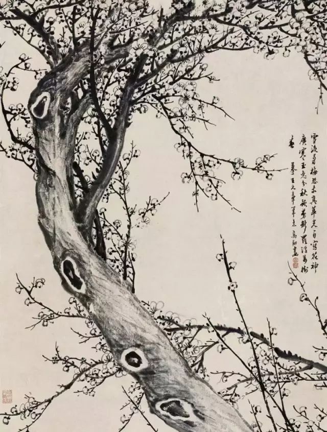 诗中幽禽指的是什么_诗中幽禽是指的是_幽禽诗指中是什么动物