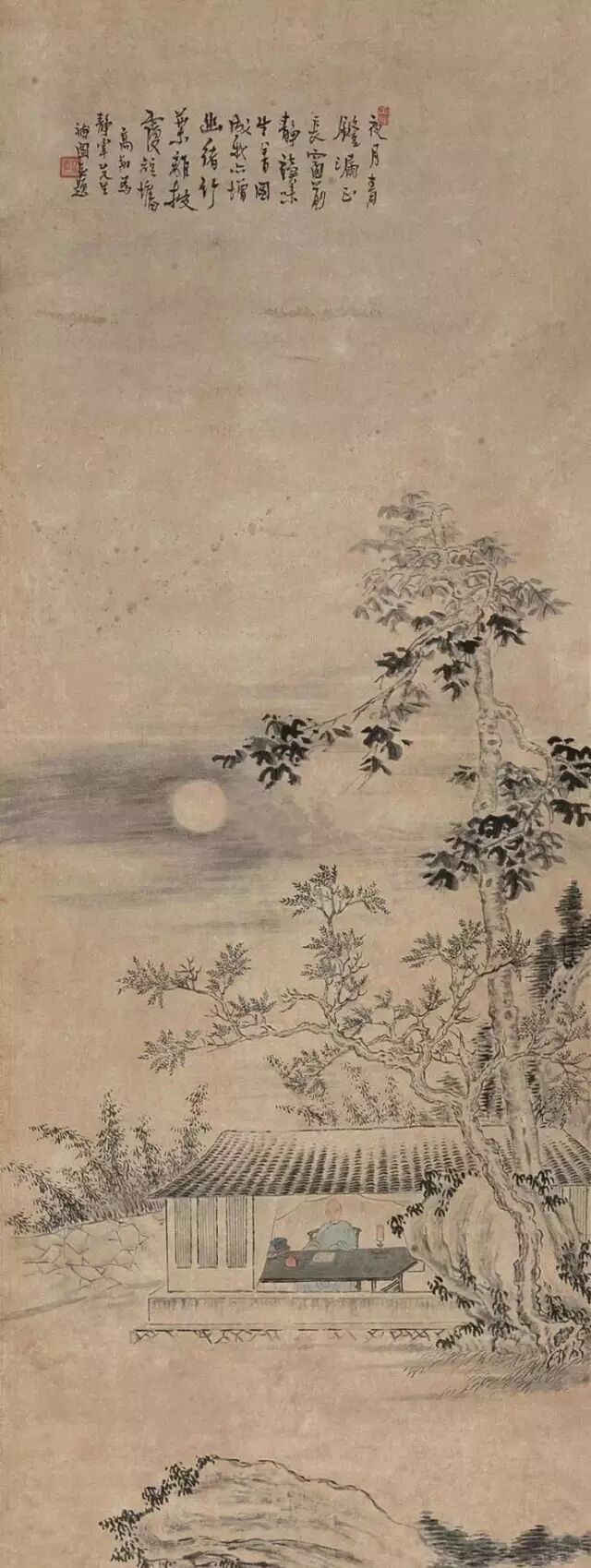 诗中幽禽指的是什么_幽禽诗指中是什么动物_诗中幽禽是指的是