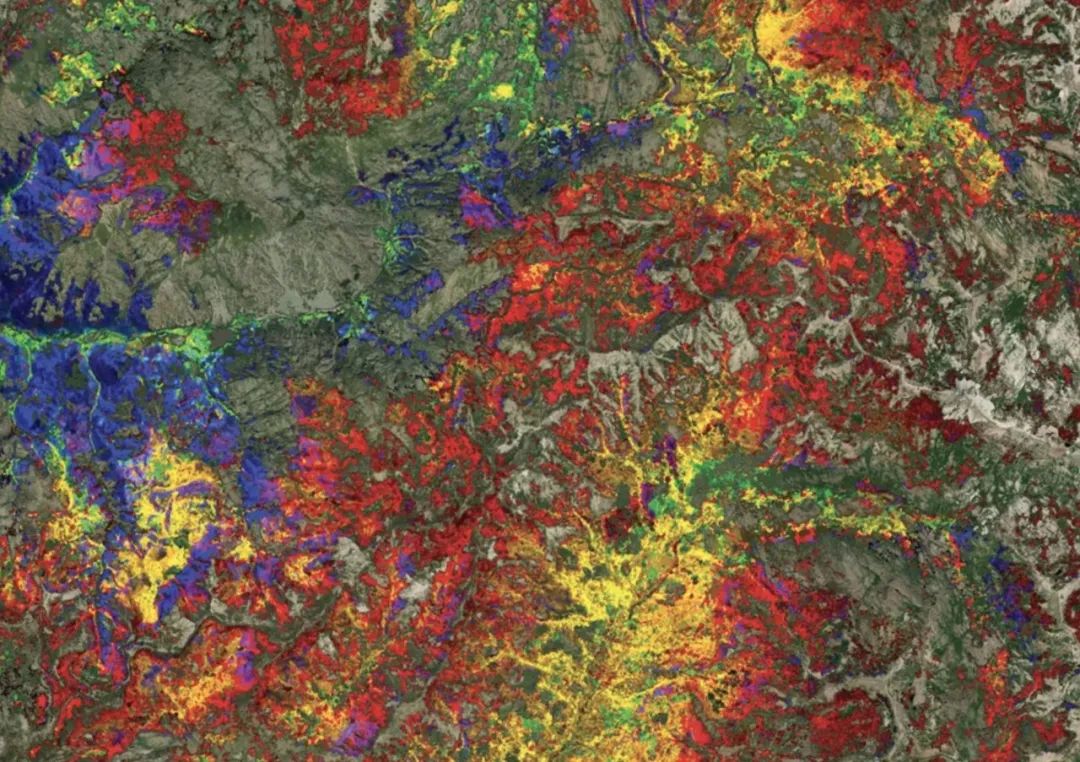 图片[5]-如何用遥感AI，计量「森林碳汇」？-元地理信息科学