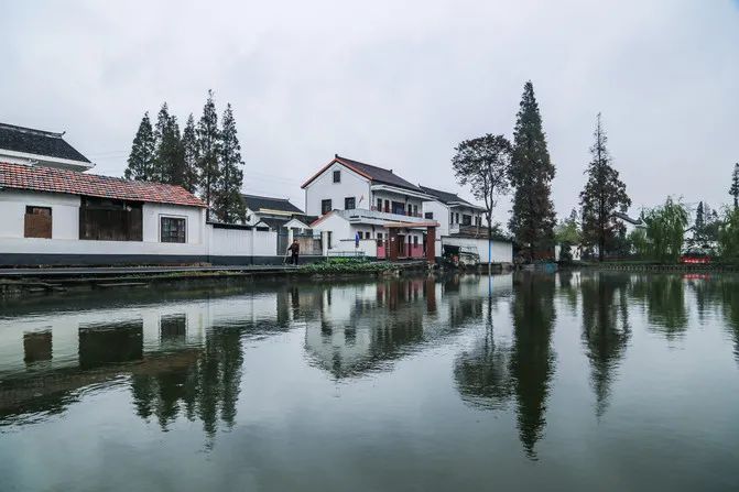 公布了，海寧這個村成全國重點，嘉興唯一 旅遊 第7張