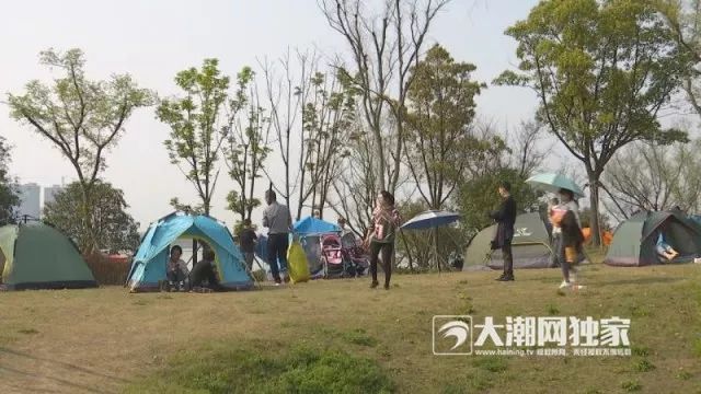 刷爆朋友圈！海寧「鵑爾代夫」火了！更期待的是馬上還將有一片... 旅遊 第19張