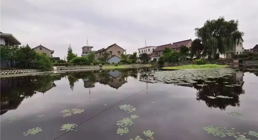 海宁属于什么市_海宁属于市还是区_浙江海宁市属于哪个市