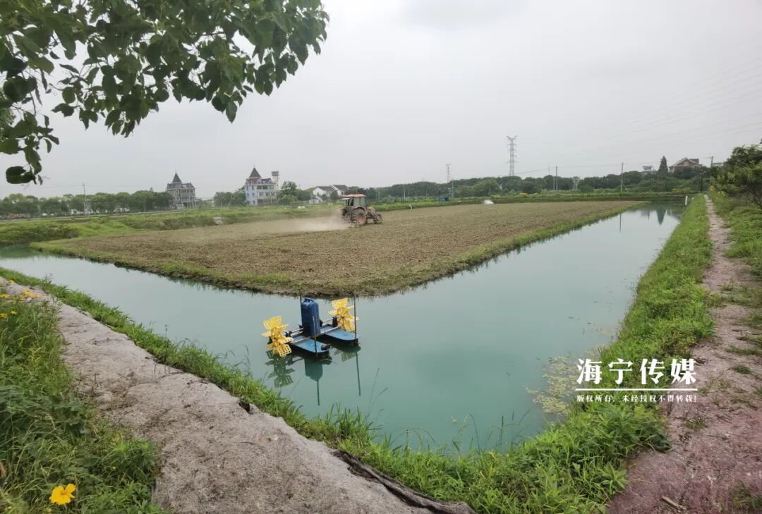 有奖励补助1500亩海宁这片高颜值湖塘盛产美味