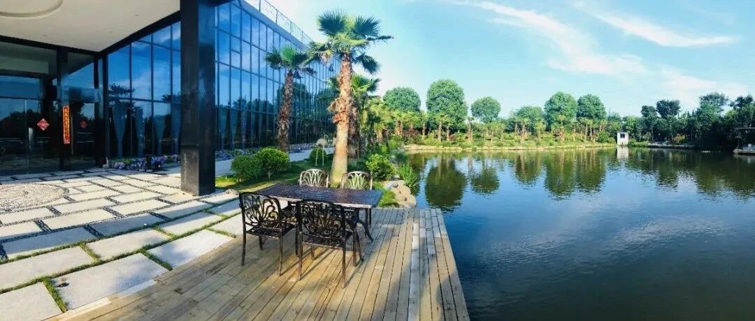 海宁城里男子隐身乡间14年，今年花1200万元建180亩“世外桃源”