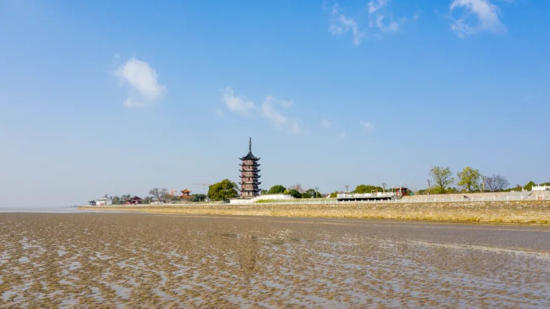 入冬来最冷一天温度竟低至壮观海宁这里再现奇景