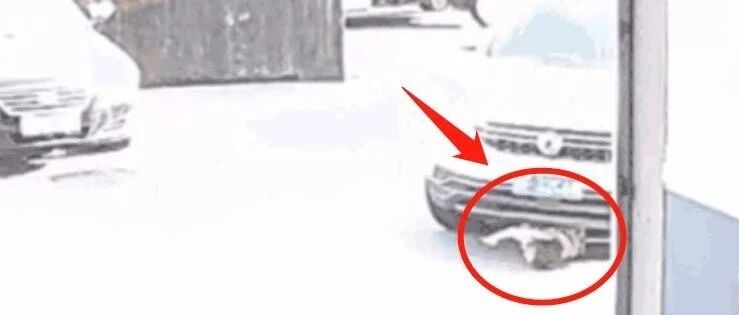 揪心！海宁女童蹲地玩耍遭拐弯轿车压过！居然...火速提醒家长