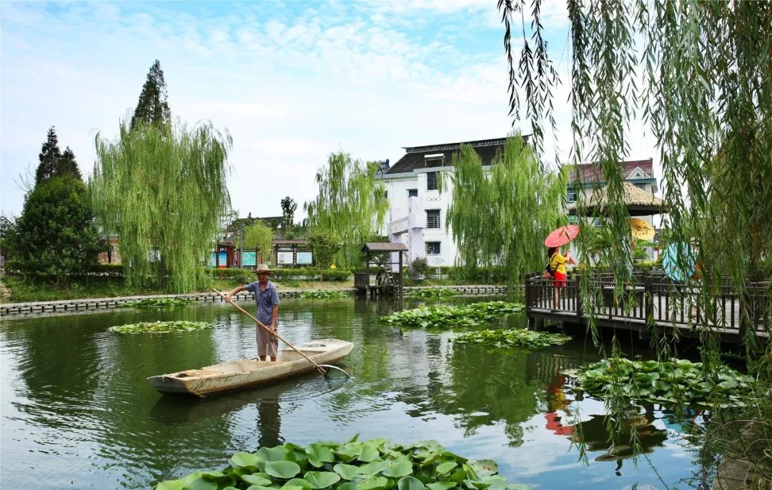 公布了，海寧這個村成全國重點，嘉興唯一 旅遊 第14張