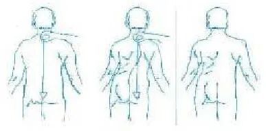 为什么手术后要经常翻身骨科常见疾病术后体位及注意事项_https://www.jmylbn.com_新闻资讯_第9张